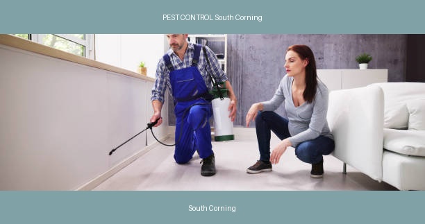PEST CONTROL South Corning